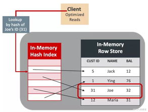 Oracle 18c 體系架構(gòu)圖創(chuàng)作之路 設(shè)計(jì)者說與精品海報(bào)大放送